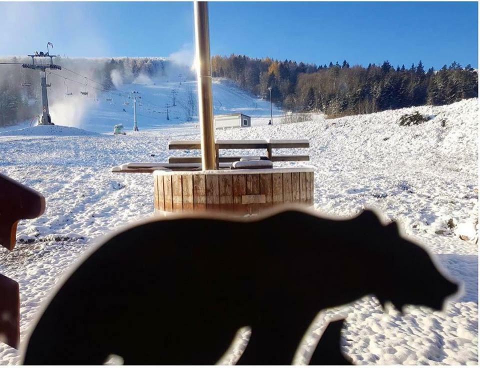 Pensjonat Laworta Ski Ustrzyki Dolne Kültér fotó